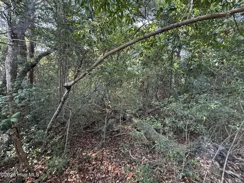 207 Stede Bonnet Wynd Bald Head Island NC 28461