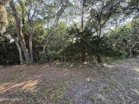 207 Stede Bonnet Wynd Bald Head Island NC 28461