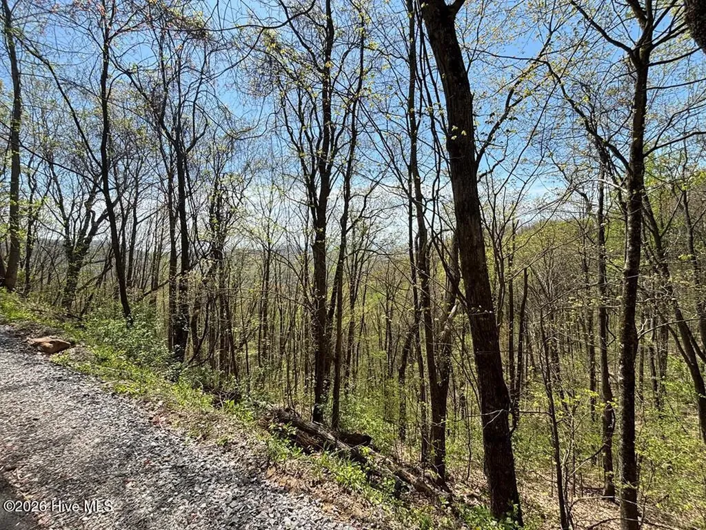 Lot 4 Outlook Road Murphy NC 28906