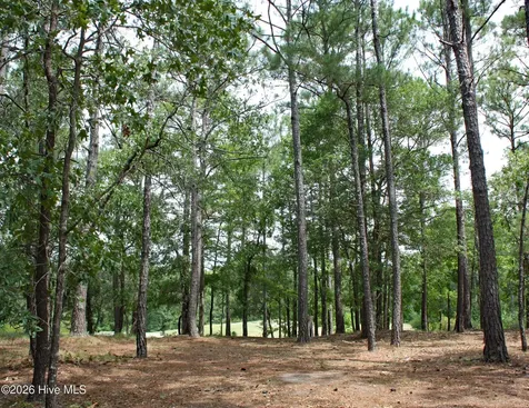5829 England Point SW Ocean Isle Beach NC 28469
