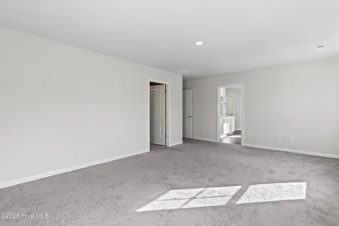 405 Ibis Court Sneads Ferry NC 28460