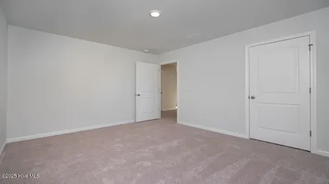1002 Pampas Grass Drive Castle Hayne NC 28429