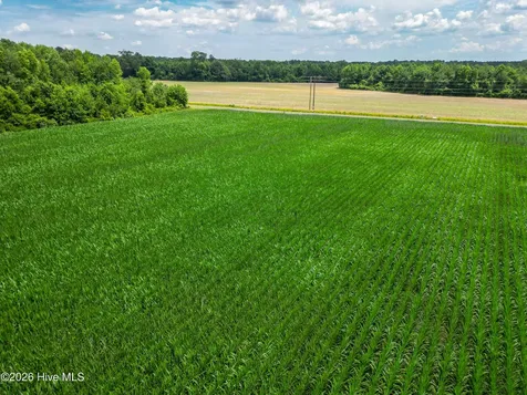 Tbd Farmers Union Road Clarkton NC 28433