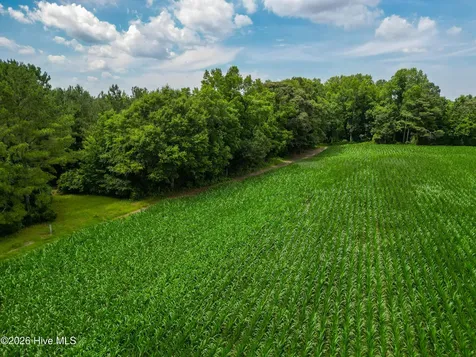 Tbd Farmers Union Road Clarkton NC 28433