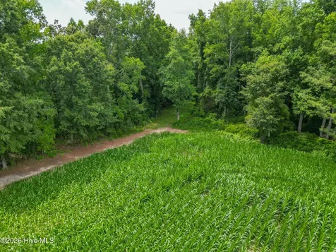 Tbd Farmers Union Road Clarkton NC 28433