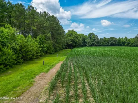 Tbd Farmers Union Road Clarkton NC 28433