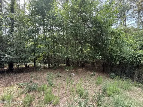 1240 Eagles Nest Road Dudley NC 28333