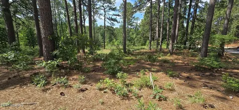 101 Owens Circle Seven Lakes NC 27376