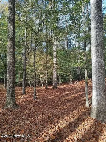 104 Gambit Court Washington NC 27889