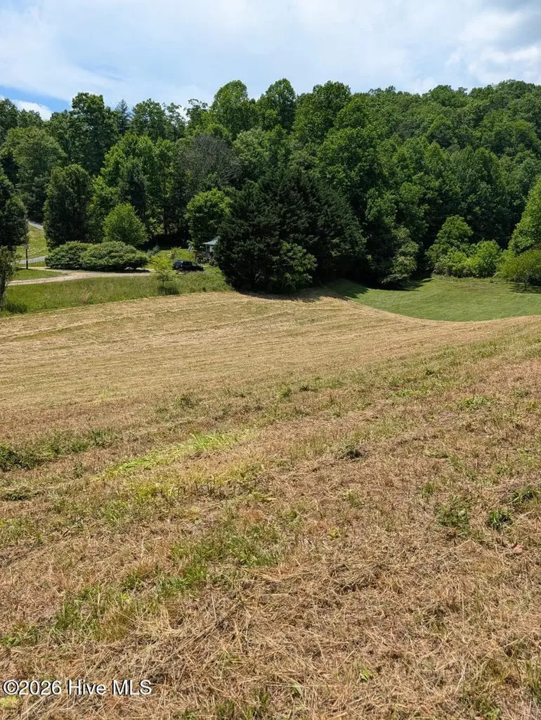 1 Henry Moss Lane Marble NC 28905