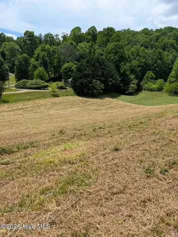 1 Henry Moss Lane Marble NC 28905