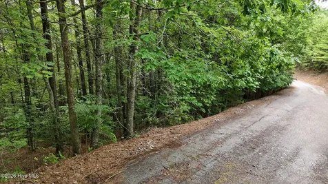 104,105 Choctaw Ridge Trail Murphy NC 28906