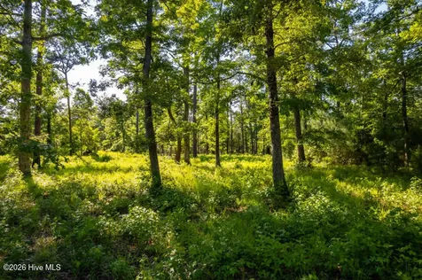 110 Queen Annes Court Oriental NC 28571