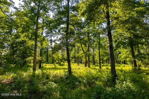 110 Queen Annes Court Oriental NC 28571