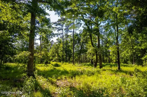110 Queen Annes Court Oriental NC 28571
