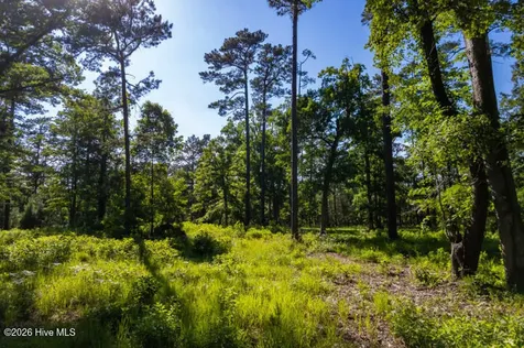 110 Queen Annes Court Oriental NC 28571