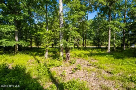 110 Queen Annes Court Oriental NC 28571