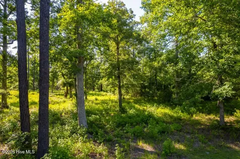 110 Queen Annes Court Oriental NC 28571