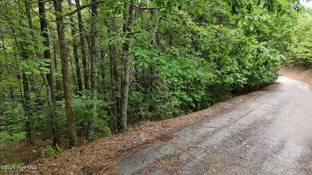 98-103 Choctaw Ridge Trail Murphy NC 28906