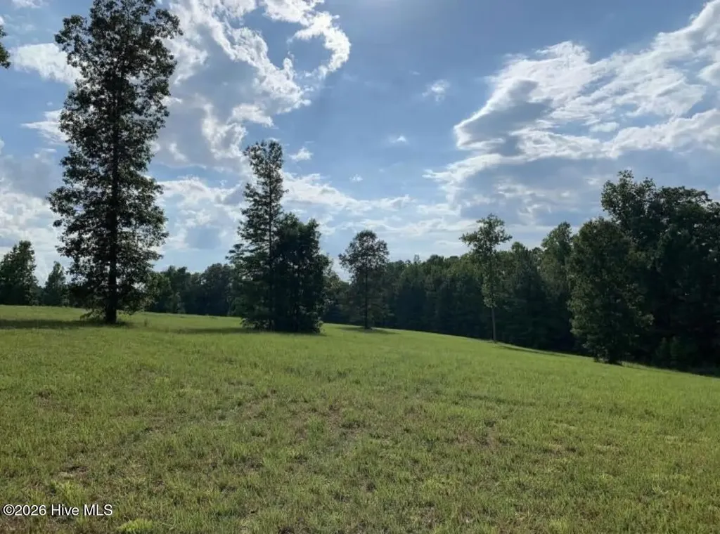 321 Whistle Hill Road Cameron NC 28326