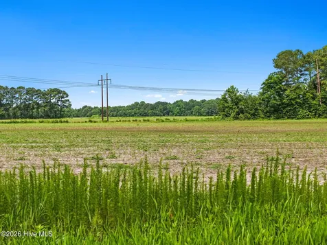 0008757 Boggy Branch Road Council NC 28434