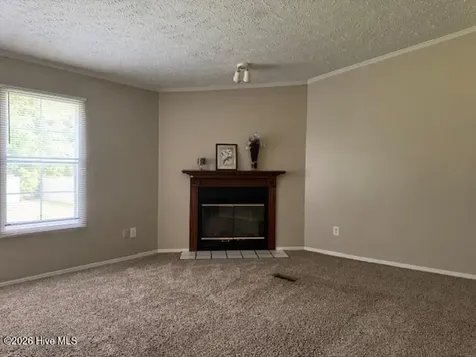 228 Bellhammon Forest Drive Rocky Point NC 28457