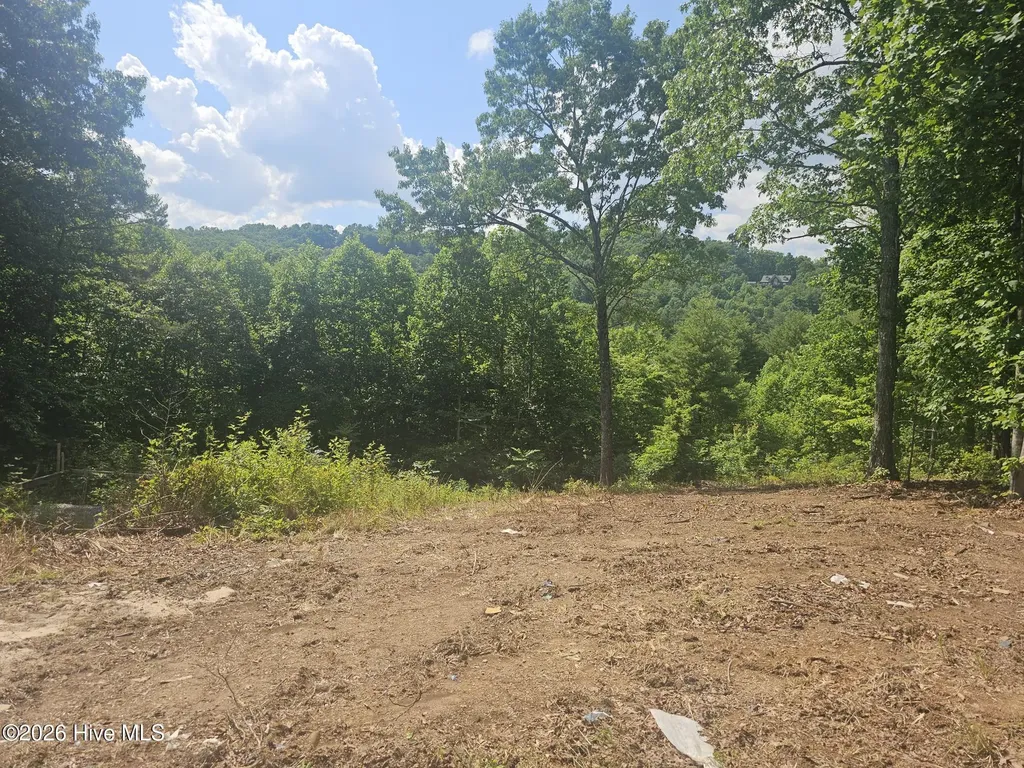 45 Meadowlark Terrace Murphy NC 28906