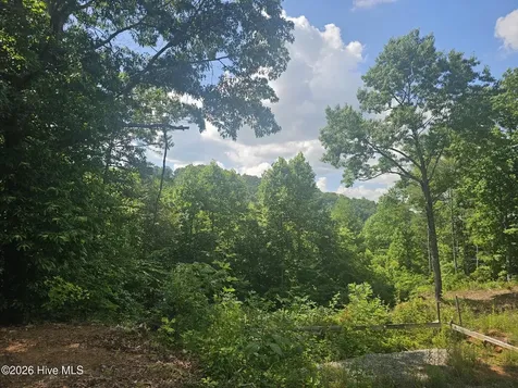 45 Meadowlark Terrace Murphy NC 28906