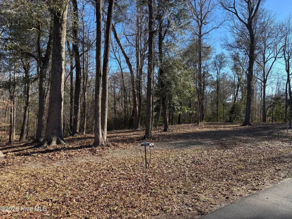 124 River Bluffs Drive Castle Hayne NC 28429