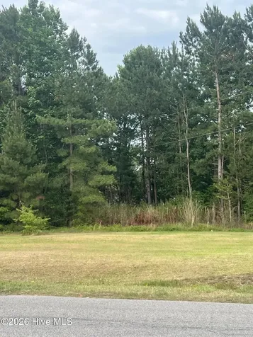 508 Strickland Drive Princeville NC 27886