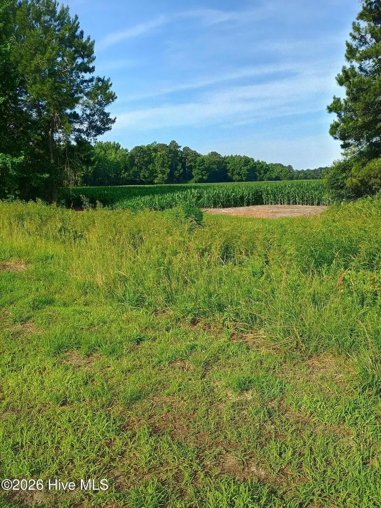 289 Grists Road Chadbourn NC 28431
