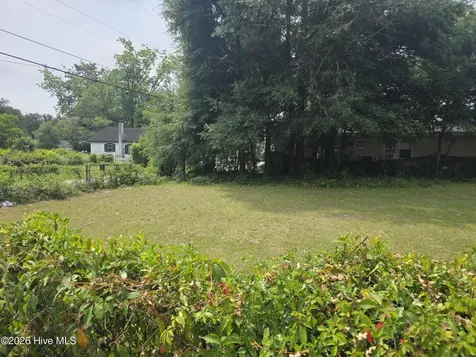 449 Clay Street Wilmington NC 28405