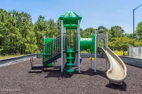 147 Snow Goose Lane Sneads Ferry NC 28460