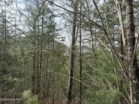 0000 Ogreeta Road Murphy NC 28906