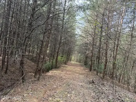 0000 Ogreeta Road Murphy NC 28906