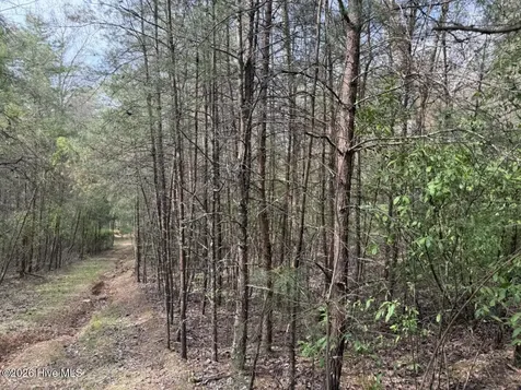 0000 Ogreeta Road Murphy NC 28906