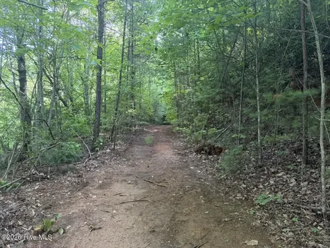 0000 Ogreeta Road Murphy NC 28906