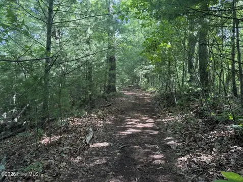 0000 Ogreeta Road Murphy NC 28906