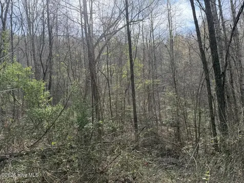0000 Ogreeta Road Murphy NC 28906