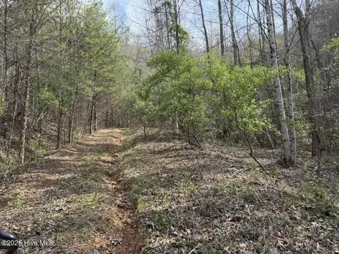 0000 Ogreeta Road Murphy NC 28906