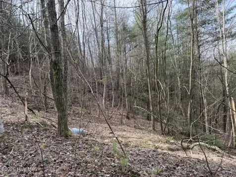 0000 Ogreeta Road Murphy NC 28906