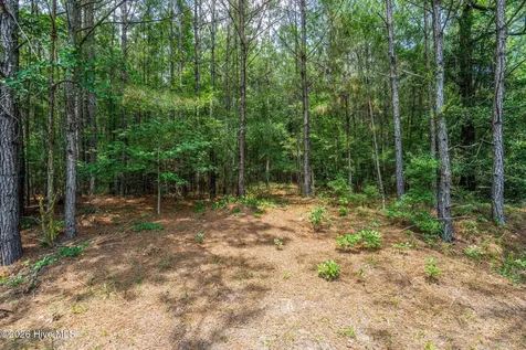 129 Dodge Lane Wallace NC 28466