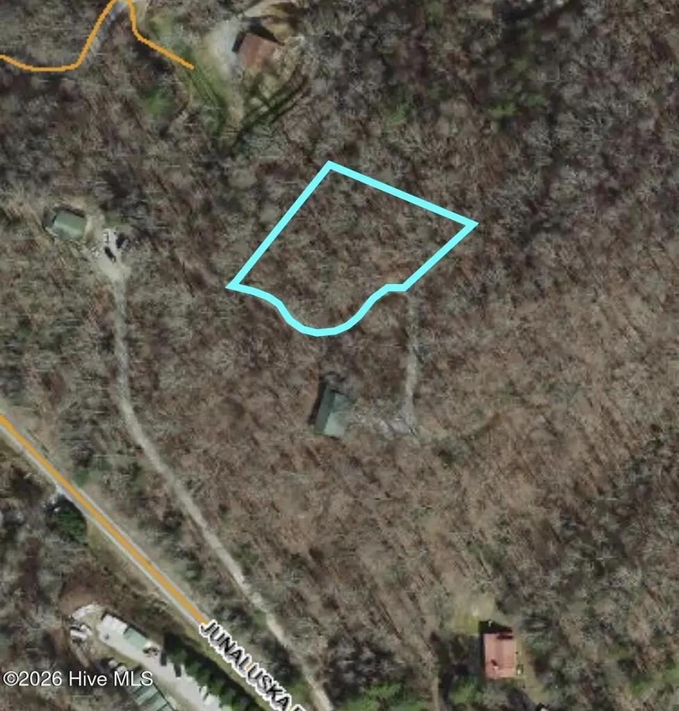 LOT#3 Junaluska Road Topton NC 28781