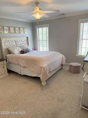 181 Blackwater Drive Winterville NC 28590
