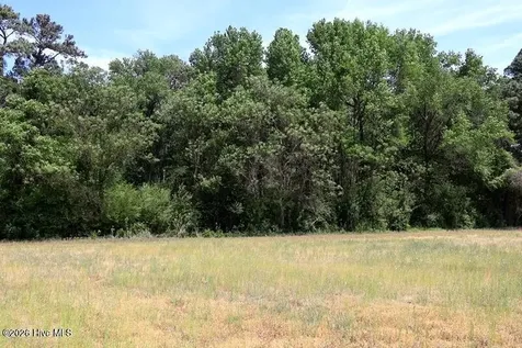 Tbd N Duffie Road Red Springs NC 28377
