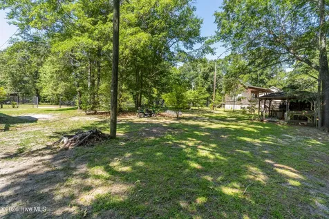 1205 Shelter Creek Drive Burgaw NC 28425