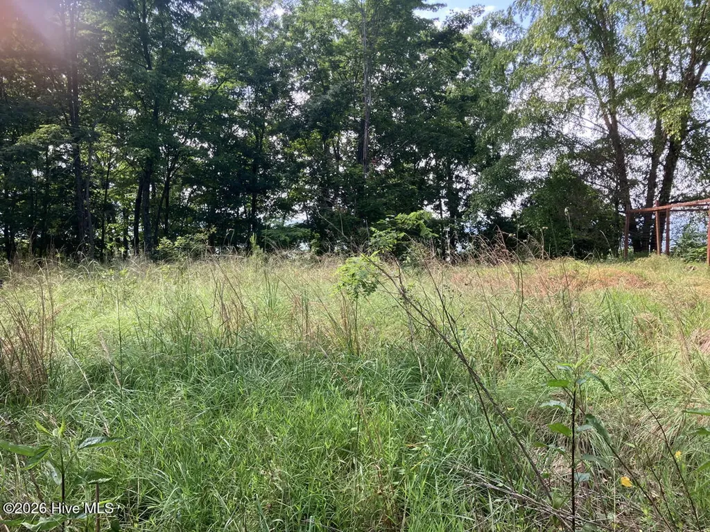 Lot 51 Buck Ridge Drive Murphy NC 28906