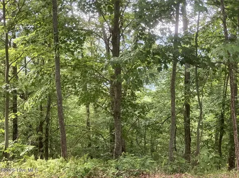 Lot 51 Buck Ridge Drive Murphy NC 28906
