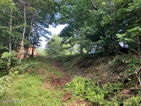 Lot 51 Buck Ridge Drive Murphy NC 28906