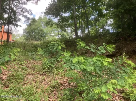 Lot 51 Buck Ridge Drive Murphy NC 28906